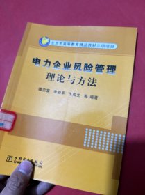 电力企业风险管理理论与方法