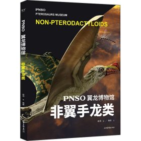 PNSO翼龙博物馆.非翼手龙类（科学艺术家赵闯大成之作，再现翼龙称霸天空的史前时代，实现纸上观展体验，让孩子把翼龙博物馆搬回家）