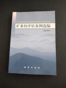 矿业权评估案例选编
