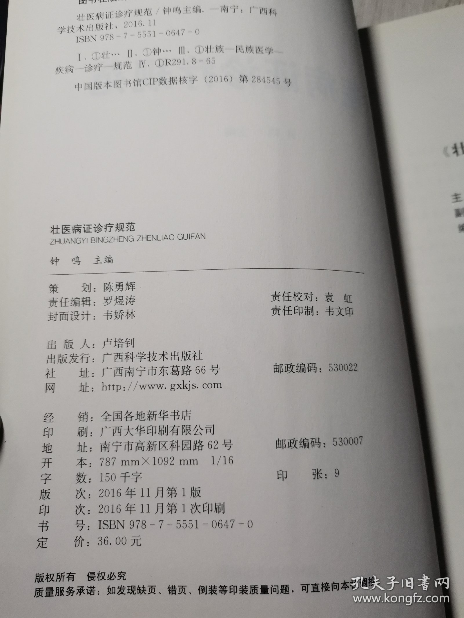 壮医病证诊疗规范/中国东盟传统医药文库