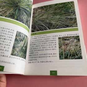 甘肃中北部500种常见野生植物原色图鉴