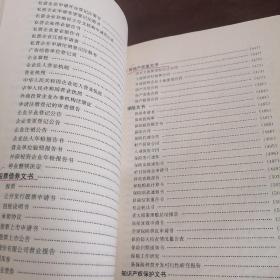 经济文书写作辞典