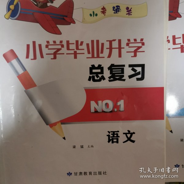 小学毕业升学总复习语文