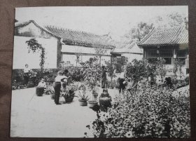 1916年京师公立第二十八国民学校《种花》（柯达相纸签章限量洗印）