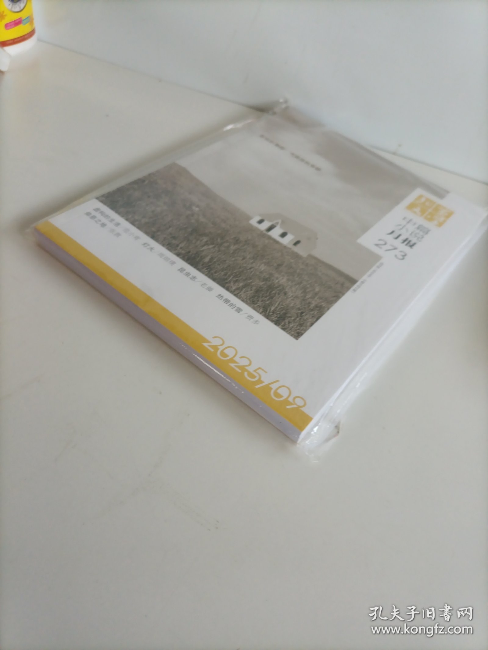 北京文学中篇小说月报2025