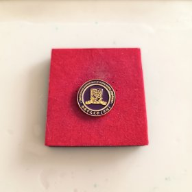 香港中文大学（深圳）校徽徽章