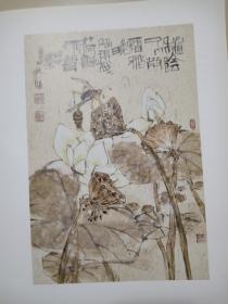 江文湛花鸟画小品展