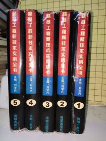 路基工程新技術(shù)實(shí)用全書: 公路 鐵路 機(jī)場(chǎng)場(chǎng)道 【精裝本五冊(cè)全】