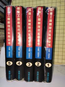 路基工程新技术实用全书: 公路 铁路 机场场道 【精装本五册全】