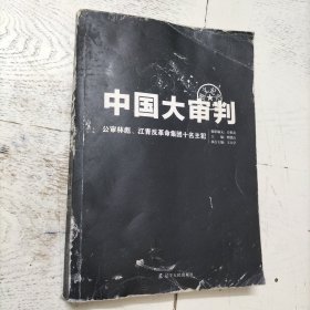 中国大审判：公审林彪、江青反革命集团十名主犯图文纪实