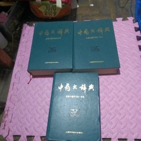 中药大辞典 上下加附编（三册合售）