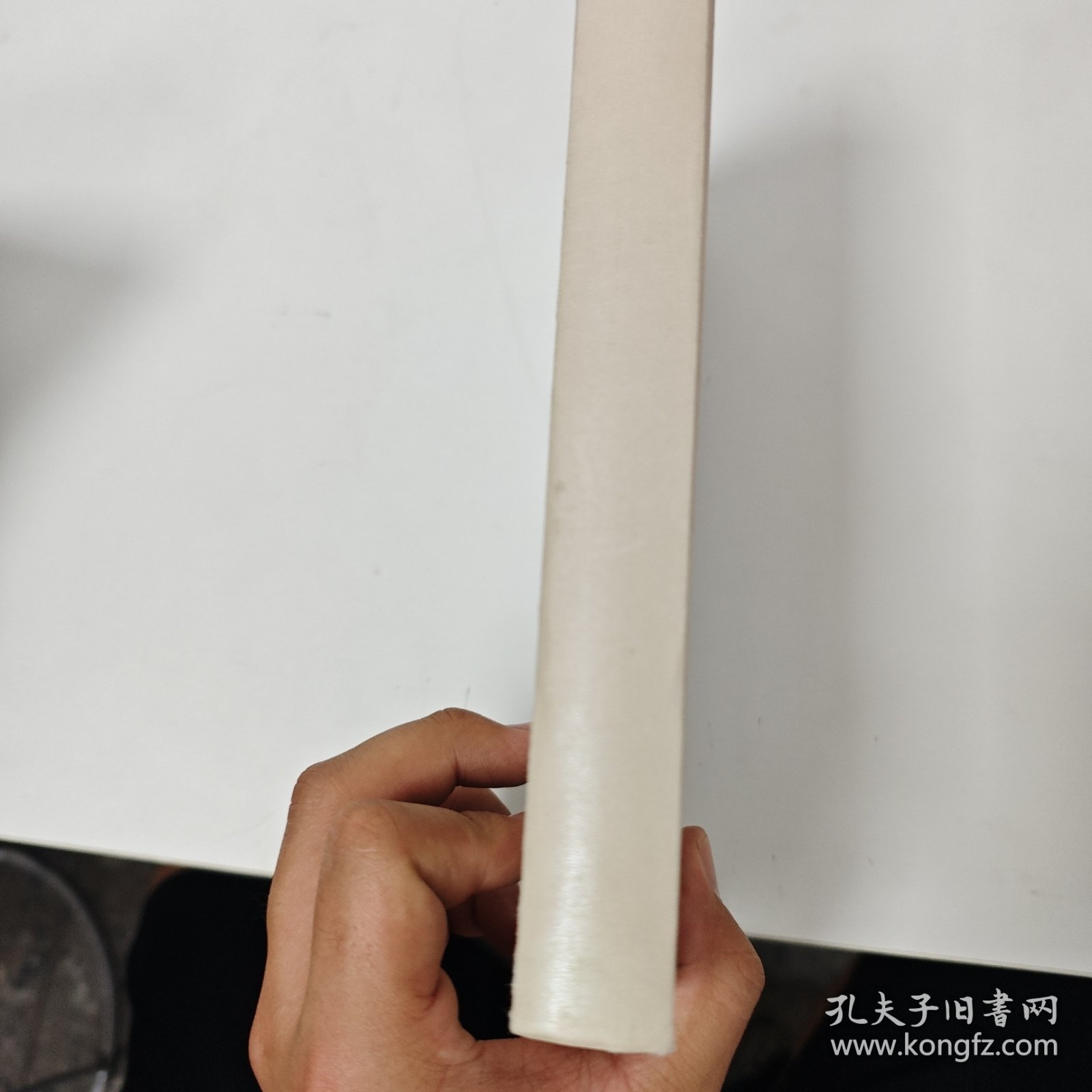 爆裂：未来社会的9大生存原则