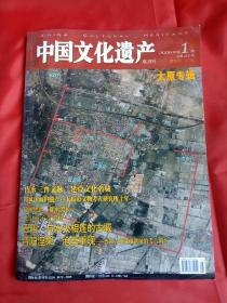 中国文化遗产2008/1
