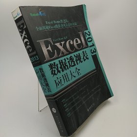 Excel 2013数据透视表应用大全