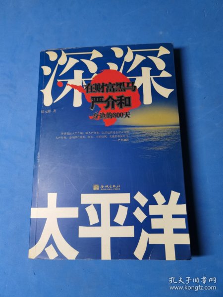 深深太平洋：在财富黑马严介和身边的800天