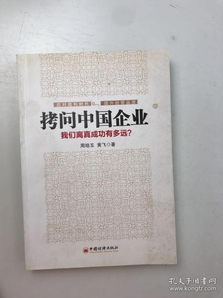 拷问中国企业 : 我们离真成功有多远？