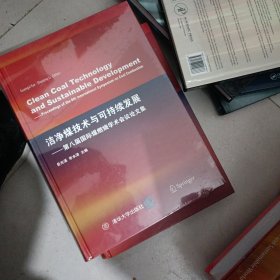 洁净煤技术与可持续发展——第八届国际煤燃烧学术会议论文集