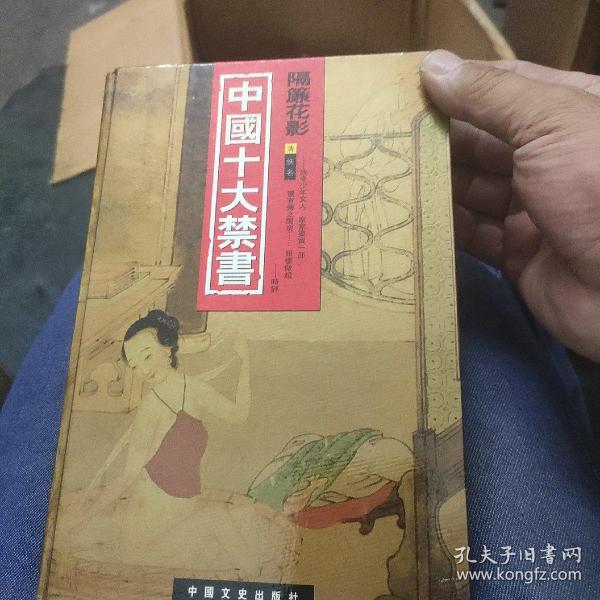 中国十大禁书：《剪燈新话》《醋葫芦》《品花宝鉴》《隔簾花影》《国色天香》《飞花艳想》《空空幻》《玉楼春》《红楼春梦》 《九尾龟》