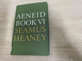 Aeneid Book VI （bilingual edition）              希尼 译 《埃涅阿斯纪：第六卷》，拉丁语和英语双语对照版，希尼受维吉尔影响很深，诺贝尔文学奖得主，精装大32开