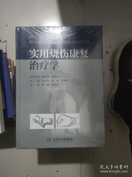 实用烧伤康复治疗学（精装本）(包销2000)