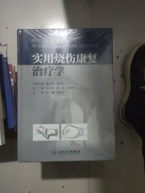 实用烧伤康复治疗学（精装本）(包销2000)