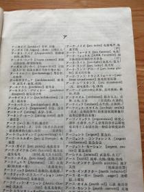 日语外来语新词典