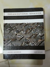 ORGANIZATIONAL BEHAVIOR MANAGING PEOPLE AND ORGANIZATIONS