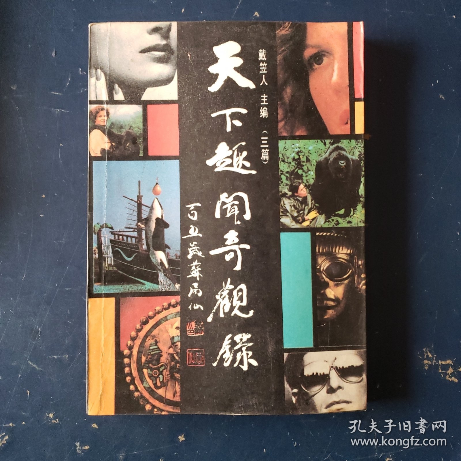 天下趣闻奇观录