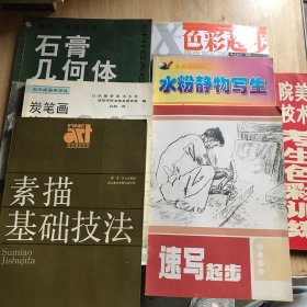 石膏几何体、炭笔画技法、素描基础技法、色彩起步、水粉静物写生、速写起步、美术学院考生色彩训练（7本合售）