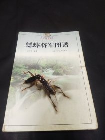 蟋蟀将军图谱