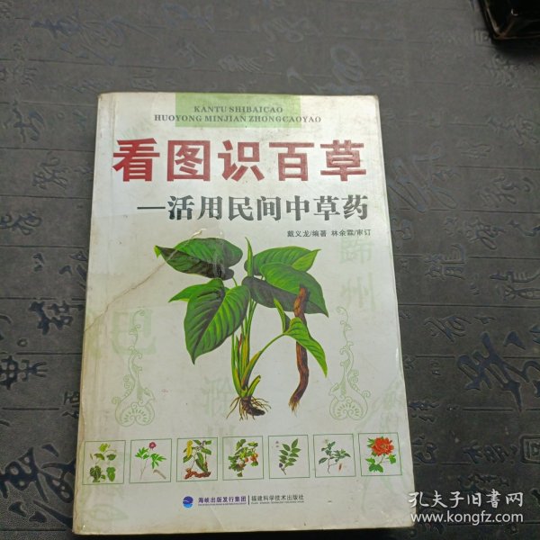 看图识百草：活用民间中草药