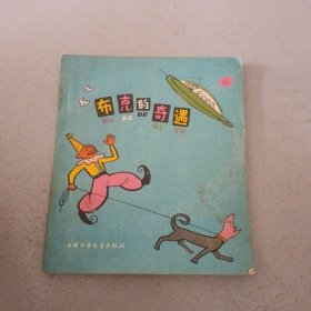 布克的奇遇