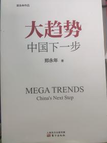 大趋势 中国下一步
