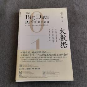 大数据：正在到来的数据革命，以及它如何改变政府、商业与我们的生活