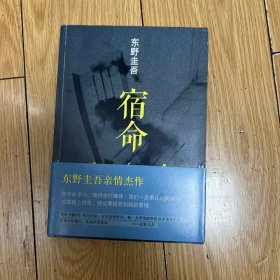 魔球：新经典文库·东野圭吾作品41