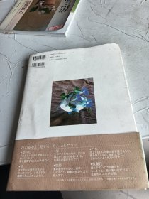 川瀬敏郎今様花伝書