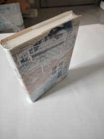 现代化的迷途