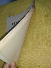 斯提耳沃特杂岩体超镁带