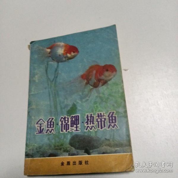 金鱼锦鲤热带鱼