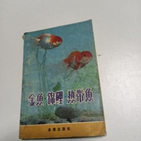 金鱼锦鲤热带鱼