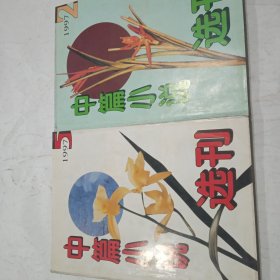 中篇小说选刊
