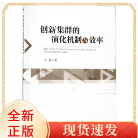 创新集群的演化机制与效率