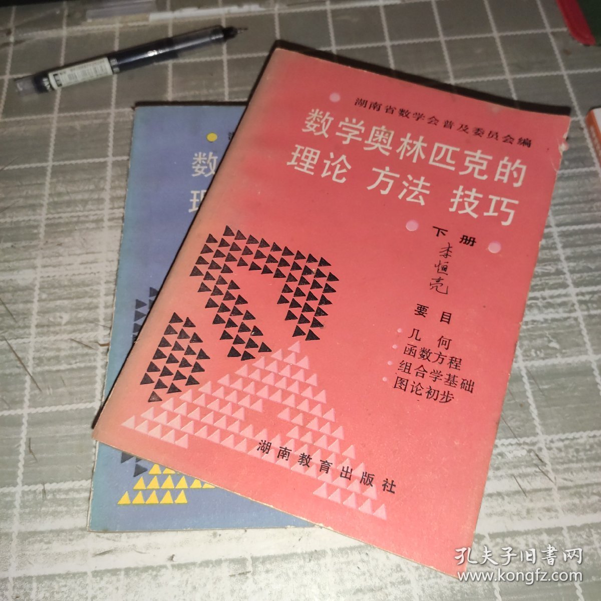 数学奥林匹克的理论 方法 技巧（上下）