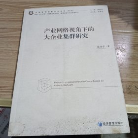 产业网络视角下的大企业集群研究