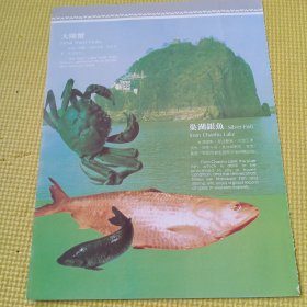 安徽大闸蟹，巢湖银鱼，安徽板栗，大红袍枇杷，80年代广告彩页一张