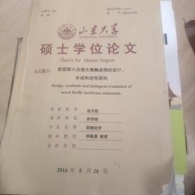 山东大学硕士学位论文