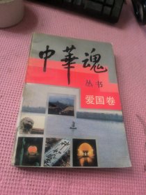 中华魂丛书 爱国卷