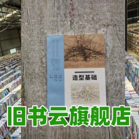 造型基础 卢毅 人民美术出版社 9787102091419