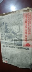 南阳日报1969年12月26日4版