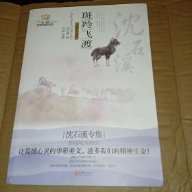 美冠纯美阅读书系· 斑羚飞渡：沈石溪专集